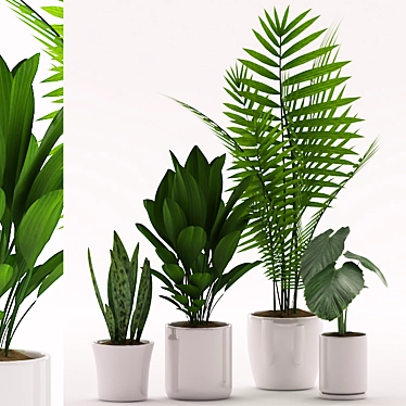 137 Assorted Indoor Plants 3D model image 1 