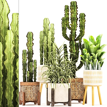 Exotic Plant Collection: Euphorbia, Cereus, Aloe 3D model image 1 