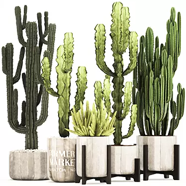 Exotic Cacti & Plants Collection 3D model image 1 