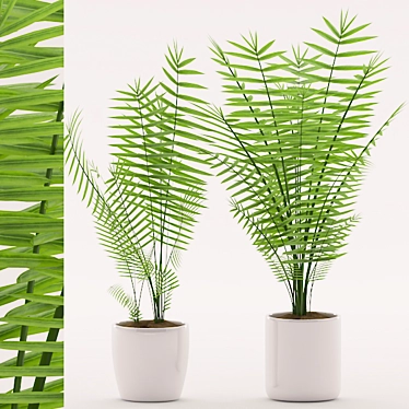 Tropical Palm Plant in Ceramic Pot 3D model image 1 