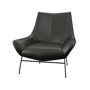 Elegant Cana Lounge Chair 3D model image 1 