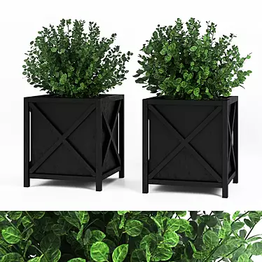 Outdoor Plant Set in Pots: 2 Varieties 3D model image 1 