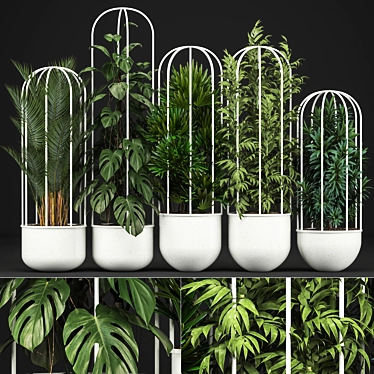 Exotic Indoor Plant Collection 3D model image 1 