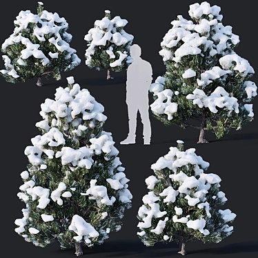 Winter Wonderland Pine Collection 3D model image 1 