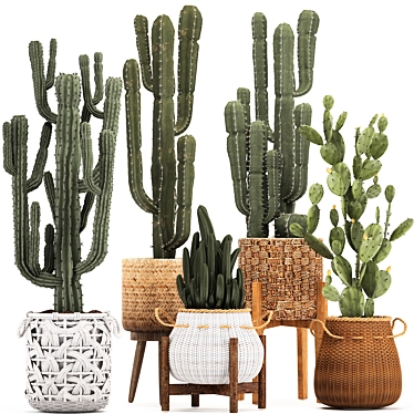 Exotic Houseplant Collection: Cacti & Prickly Pear 3D model image 1 