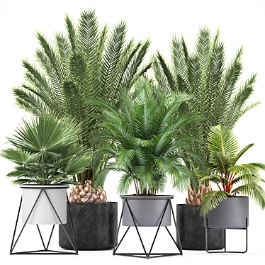 Exotic Indoor Plant Collection 3D model image 1 