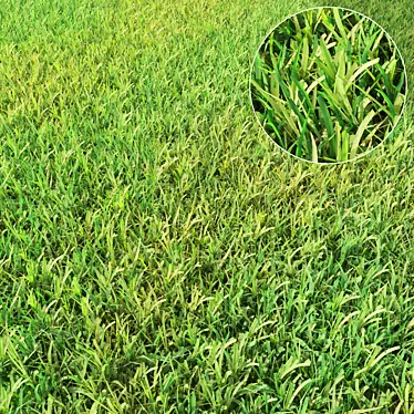 Lush Translucent Grass 3D model image 1 