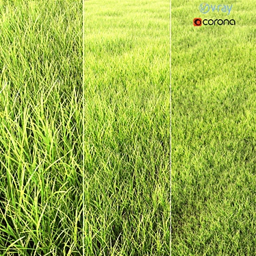 Lush Green Arch Grass: High-quality, Realistic Exterior Rendering Solution 3D model image 1 
