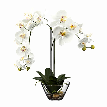 Elegant Silk White Orchid 3D model image 1 