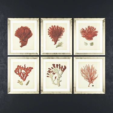 Vintage Coral Prints by Eichholtz 3D model image 1 