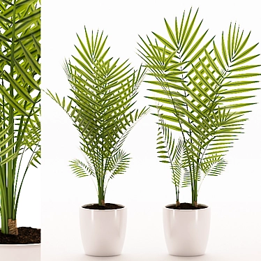 Tropical Palm Plant with Ceramic Pot 3D model image 1 