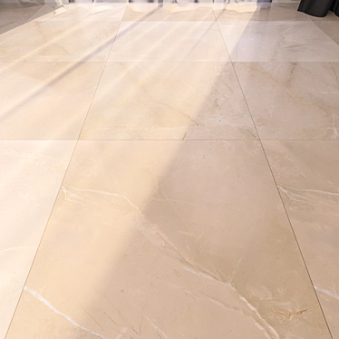 Multi-Texture Marble Floor 3D model image 1 