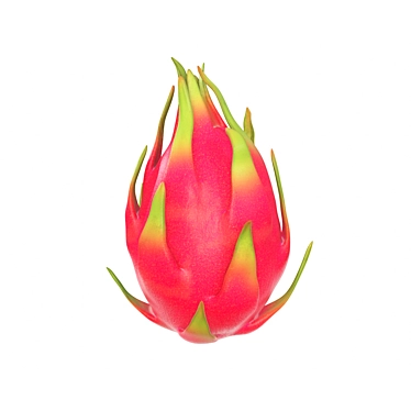 Exotic Dragonfruit - 4K PBR Texture 3D model image 1 