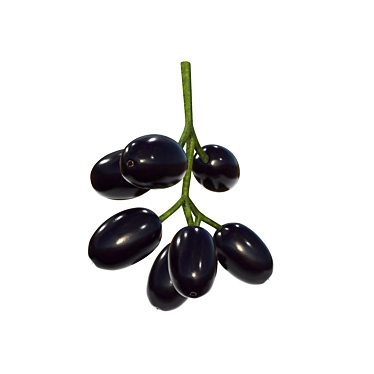 Tasty Jambolan Plums with Stem 3D model image 1 