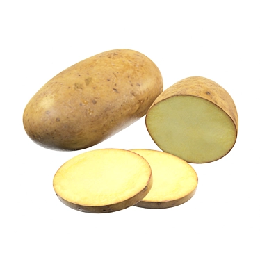 Versatile Potato Trio: Whole, Half & Slices 3D model image 1 