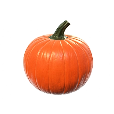 PBR Pumpkin 4k Texture 3D model image 1 