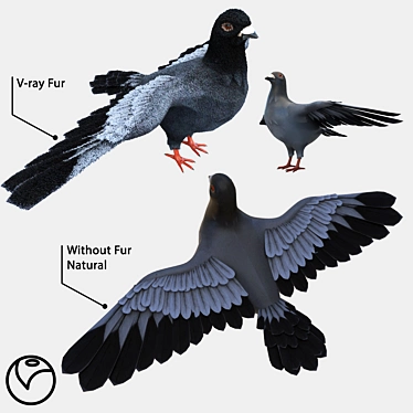 Vray Fur Pigeon: Realistic and Detailed 3D model image 1 