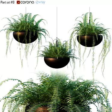 Versatile Plant Set for Interior and Exterior Design 3D model image 1 