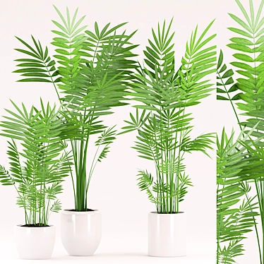 Tropical Palm Plant Set 3D model image 1 