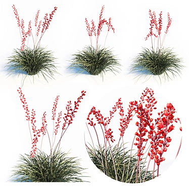 Red Yucca (Hesperaloe Parviflora) Set 3D model image 1 