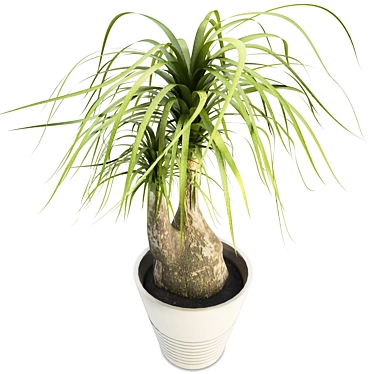 Beaucarnea Tree: Lifelike Interior Plant with Stoneware Pot 3D model image 1 