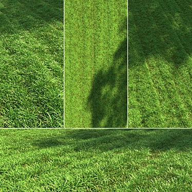 Lush Green Lawn: 3D Grass Model 3D model image 1 