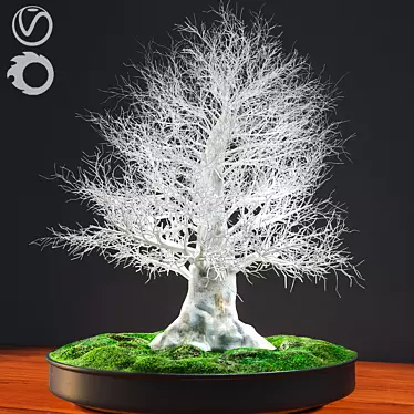 Eternal Winter Bonsai 3D model image 1 