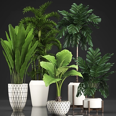 Exotic Houseplants Collection 3D model image 1 