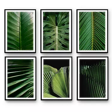 Tropical Leaf Set 31: Real-size 3D Models 3D model image 1 