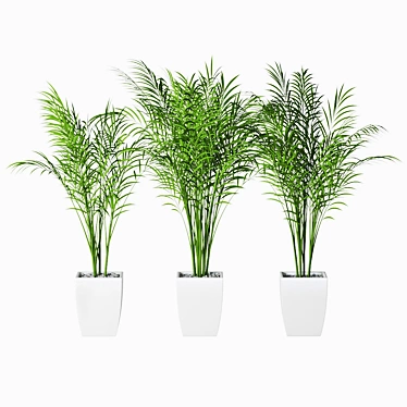 Trio of Potted Palms 3D model image 1 