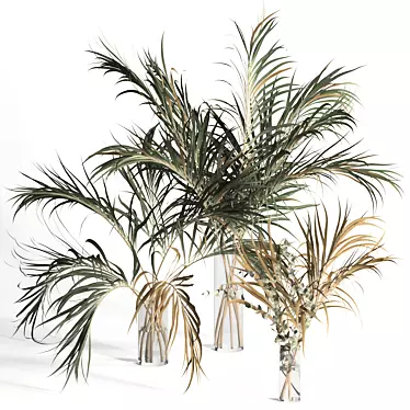 Natural Dry Palm Leaf Vases 3D model image 1 