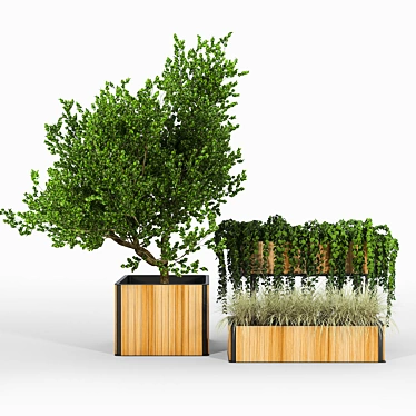 Teak Box and Frame Planters | Flowerbox Combine 3D model image 1 