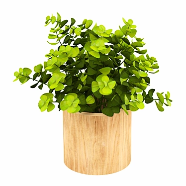 Eucalyptus Bonsai: Faux Naturalist Elegance 3D model image 1 