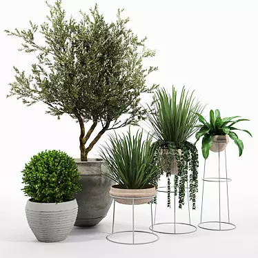 Modern Terracotta Planters for Indoor or Outdoor Use 3D model image 1 