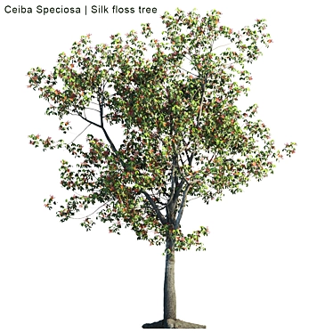 Silk Floss Tree: Vibrant and Versatile 3D model image 1 