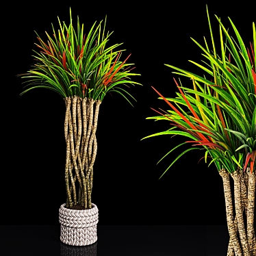 12-Plant Collection: High-Quality 3D Models 3D model image 1 