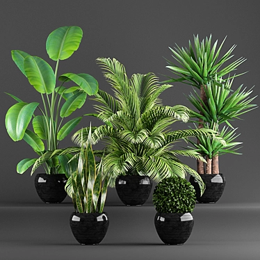 Green Oasis: 5-Piece Plant Set 3D model image 1 