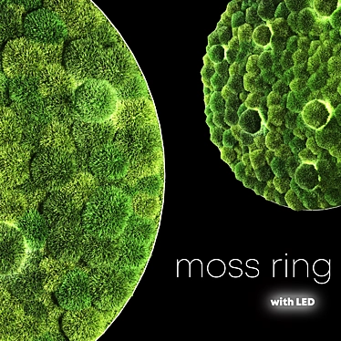 LED Moss Ring: Modern Accent Lighting 3D model image 1 