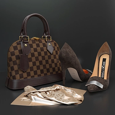 Elegant Grey Pumps and LV Bag 3D model image 1 