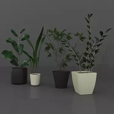 Sina Model: Elegant Indoor Plant 3D model image 1 