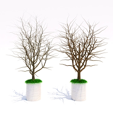 Breezy Blooms: Indoor Harmony Pair 3D model image 1 