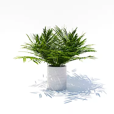 Tiny Palm Tree: A Lush Indoor Delight 3D model image 1 