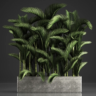 Exotic Houseplant Collection 3D model image 1 