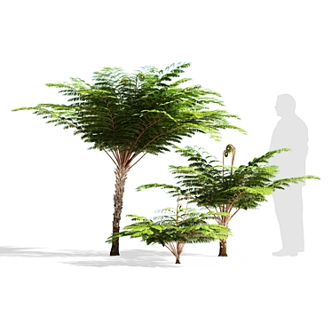 Fern: Stylish 3D Model 3D model image 1 