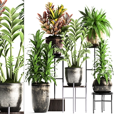 Title: Exotic Houseplant Collection 3D model image 1 