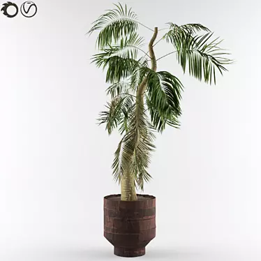 Tropical Bliss: Palm Tree for Soil & Pot 3D model image 1 
