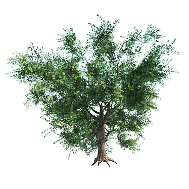  Majestic English Oak: Perfect for Landscaping! 3D model image 1 