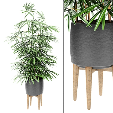 Exotic Plant in Pot 3D model image 1 