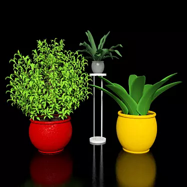 Flora-Fest: Exquisite Plants Collection 3D model image 1 