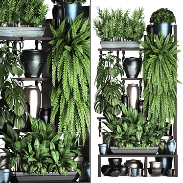 Exotic Plant Collection: Houseplants & Monstera 3D model image 1 